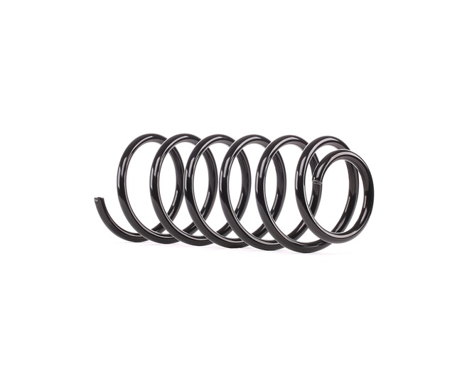 RIDEX 188C0453 Federn VW CADDY 2025
