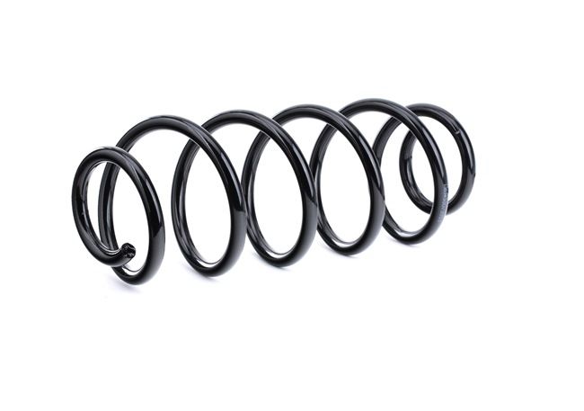 RIDEX 188C0492 fjærer Passat 3b5 1.6 101 hk Bensin 2000