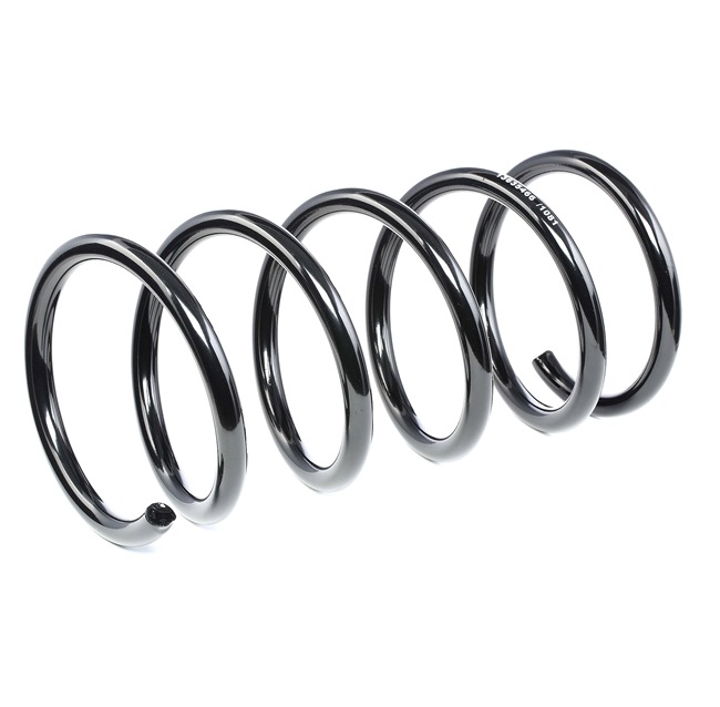 RIDEX 188C0538 Fjeder VOLVO S60 pris