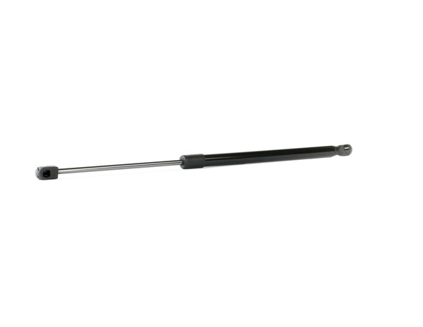 RIDEX 6E0 827 550C Gasveer achterklep 219G0774