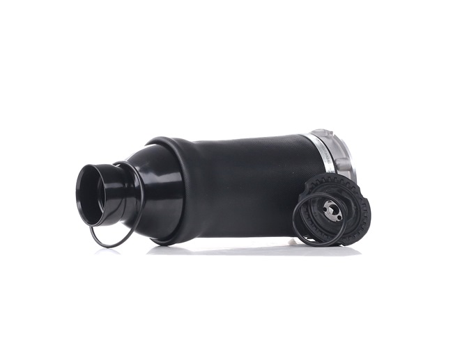 RIDEX 4Z7 616 051 Oro pagalvės 4119A0003