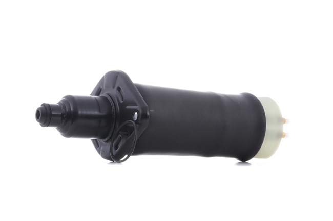 RIDEX 4Z7616051A+ Oro pagalvės 4119A0007