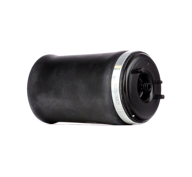 RIDEX 4119A0009 luchtbalg 1 095 579
