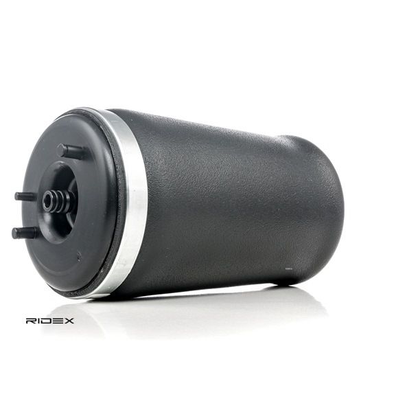 RIDEX 4119A0010 luchtbalg 1 095 580