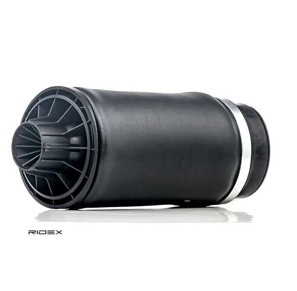 RIDEX 4119A0011 Calidad y precios justos