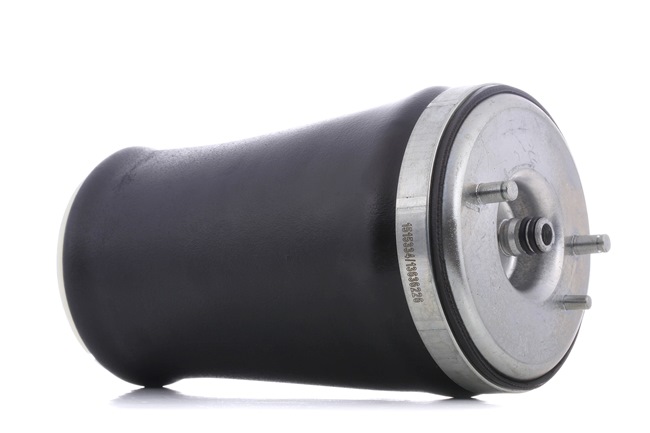 RIDEX 4119A0012 luchtbalg 1 095 082