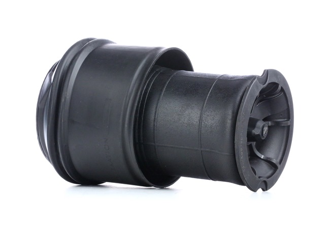 RIDEX 9676670180B-00 Oro pagalvės 4119A0017