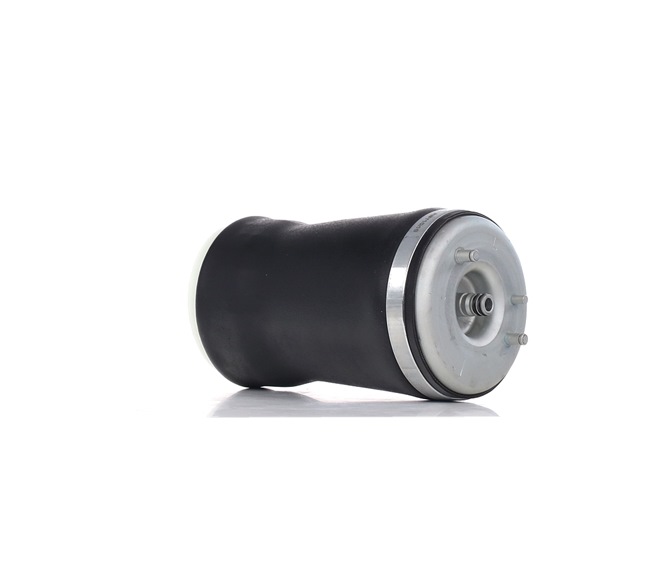 RIDEX 4119A0019 luchtbalg 1095579