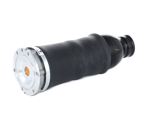 RIDEX 4Z7616051 Oro pagalvės 4119A0022