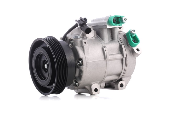 RIDEX 447K0369 aircopomp 977011D200