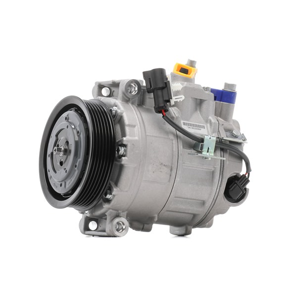 RIDEX JPB000172 Aircopomp 447K0391
