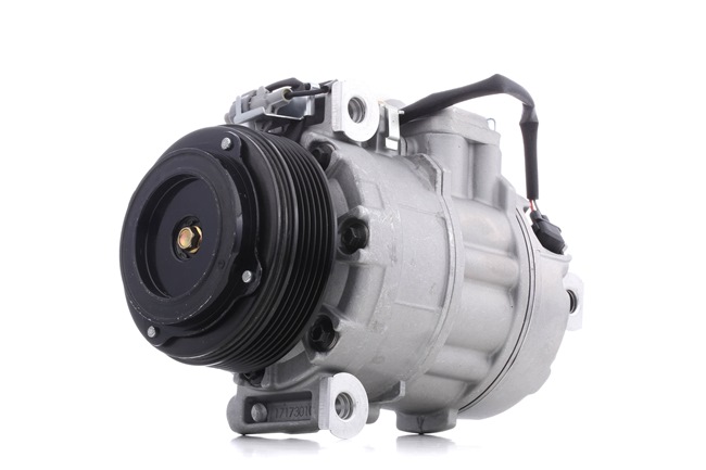 RIDEX 447K0416 aircopomp 9 180 549