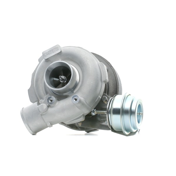 RIDEX 2247691H Turboahdin 2234C0091