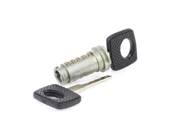 RIDEX 1378L0013 cilinderslot A202 460 07 04
