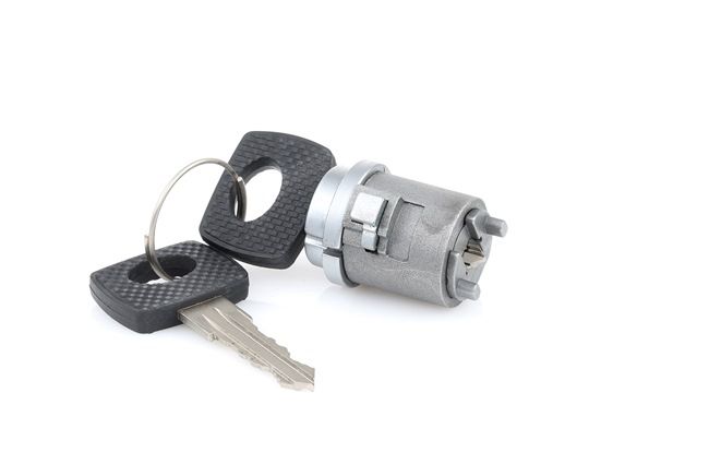 RIDEX 1378L0024 cilinderslot 1264600104