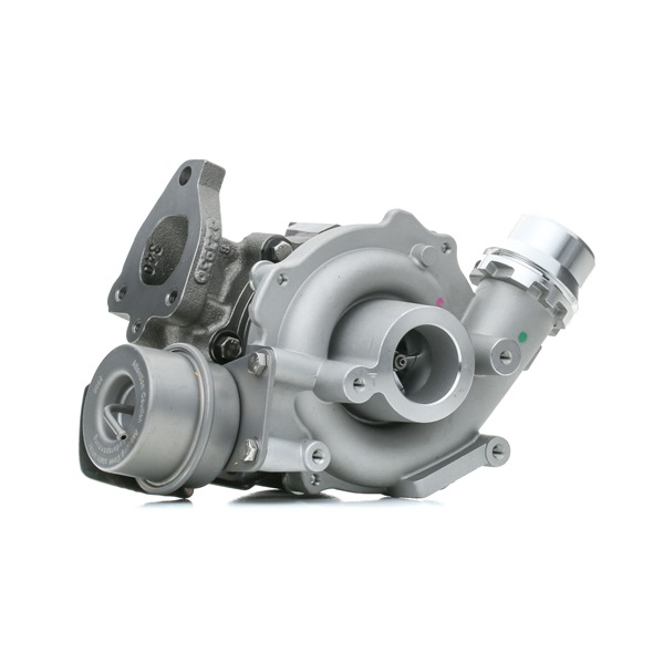 RIDEX 2234C0113 Turbina DACIA Jogger I MPV originale prezzo