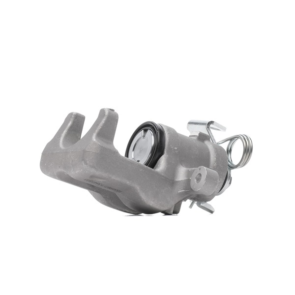 RIDEX 78B0498 remklauw 77365745