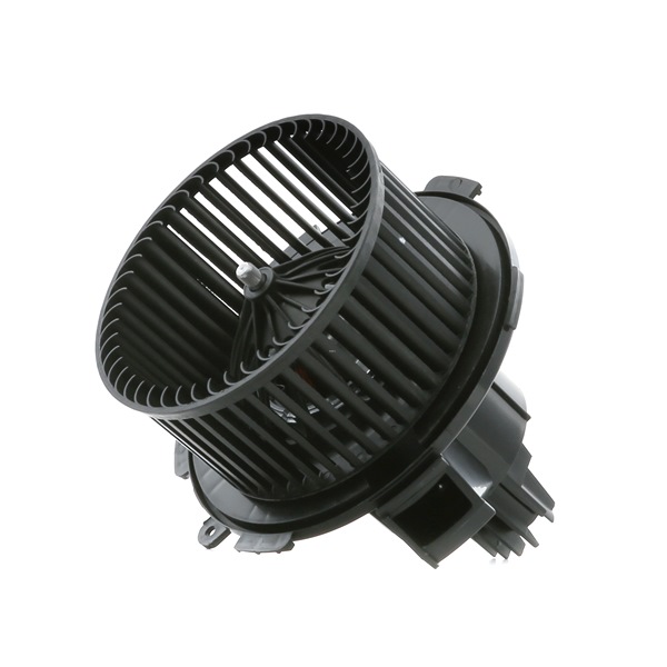RIDEX 2669I0079 di prima qualità a prezzi equi