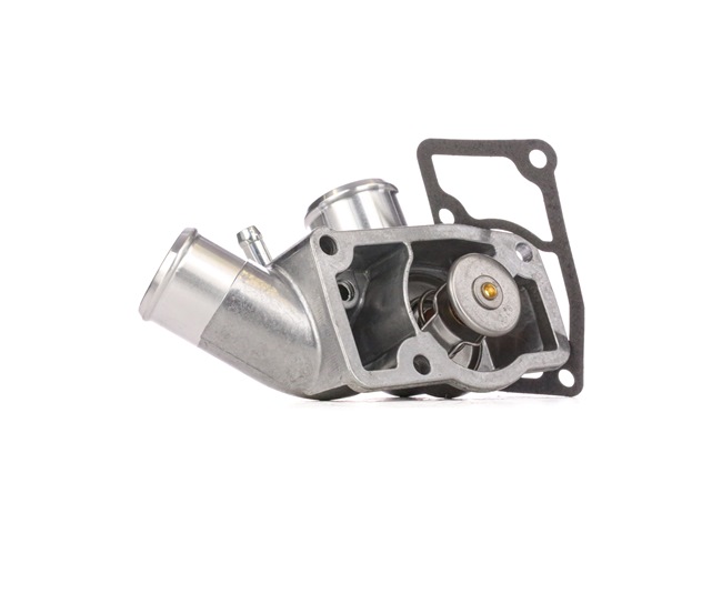 RIDEX 316T0123 Wysokiej marki jakość