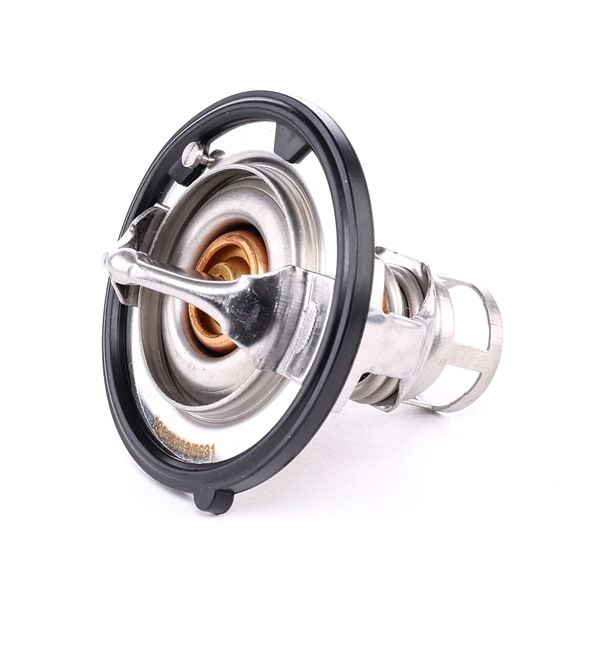 RIDEX 316T0131 Termostaatti, jäähdytysneste INFINITI QX4 osta edullisesti alennuksilla