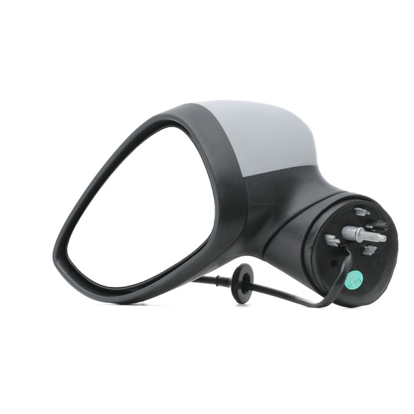 RIDEX 50O0397 buitenspiegel 1514053