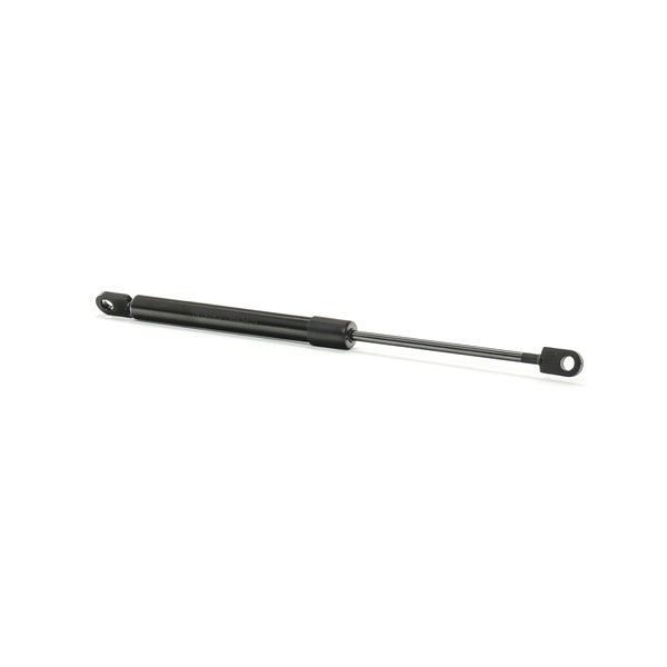 RIDEX 219G0667 di prima qualità a prezzi equi