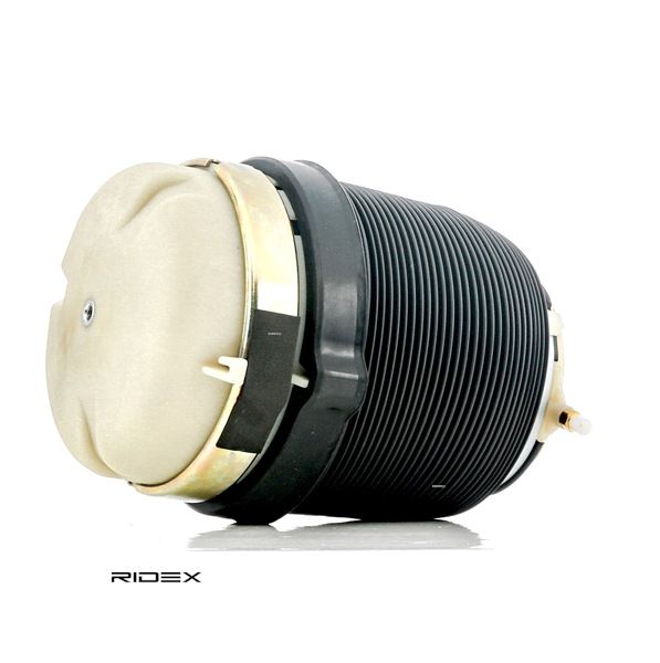 RIDEX 4119A0025 luchtbalg 4F0616001Q