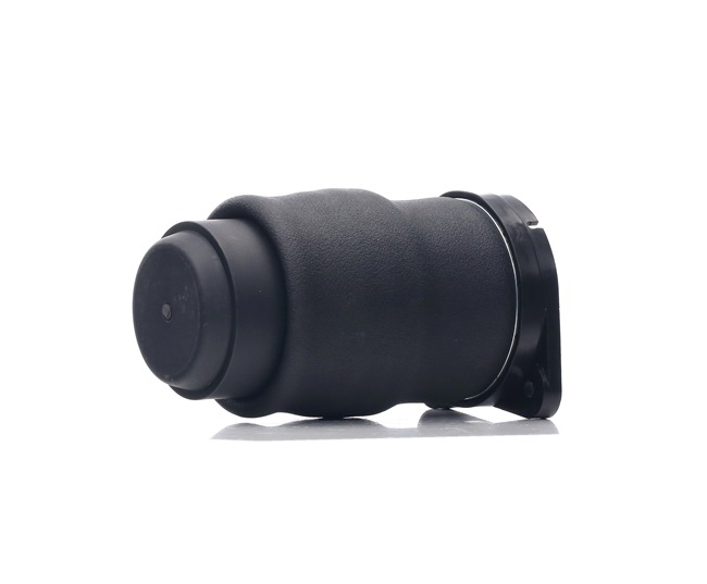 RIDEX 4119A0032 A-kwaliteit en eerlijke prijzen