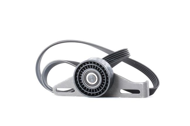 Cinghia Poly-V SKF LADA KALINA VKMA 36091