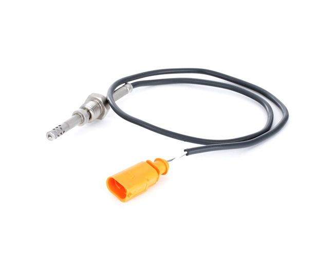 RIDEX 3938E0109 Temperatursensor VW Multivan T6