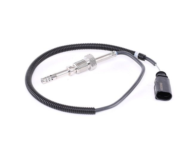 RIDEX 3938E0110 Jutiklis, išmetamųjų dujų temperatūra VW Multivan T5 1.9 TDI 102 AG dyzelinas 2008