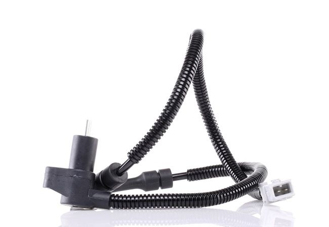RIDEX 412W0473 2019 FIAT SCUDO ABS Sensor Preis