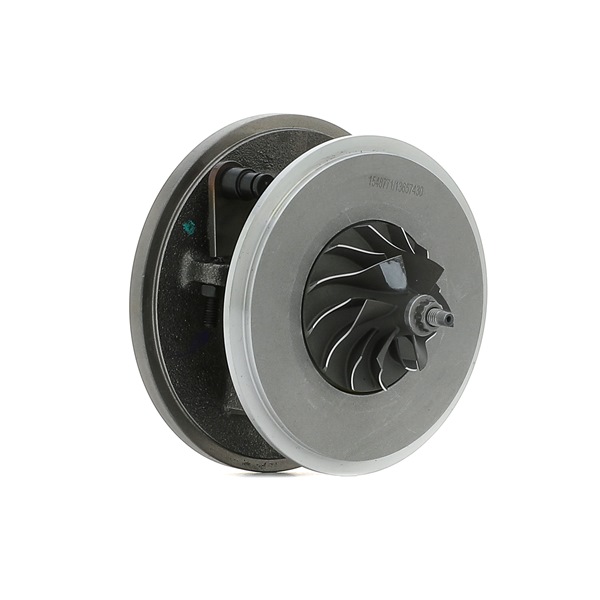 RIDEX 2 247 297.H Cartouche turbo 4973C0004