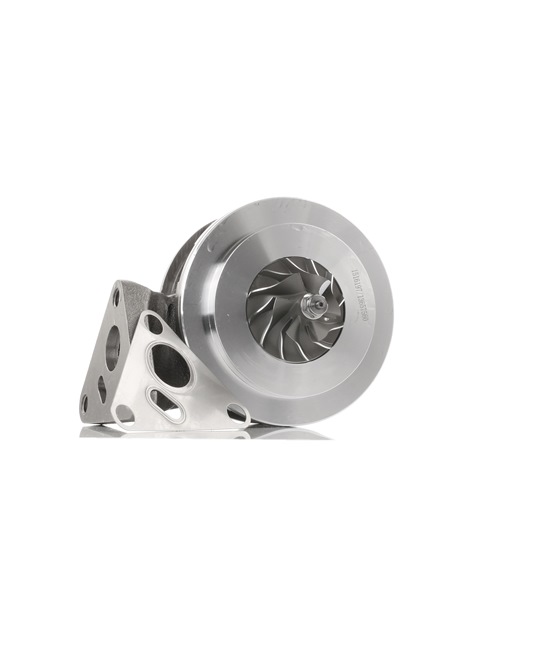 RIDEX 4973C0011 Turbokompresorius VW Multivan T5 2.5 TDI 4motion 130 AG dyzelinas 2005