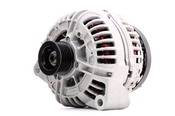 STARK SKGN-0320261 1A-Qualität und faire Preise