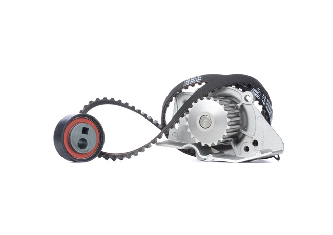 SKF VKMC 03201-1 Bomba de água + kit de distribuição Berlingo First Van 1.8 i 90 cv Gasolina 1999