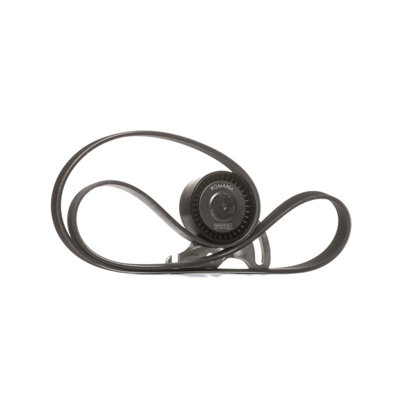 Cinghia Poly-V SKF RENAULT KOLEOS VKMA 36036