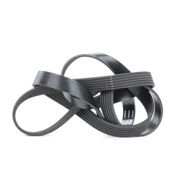 Keilrippenriemen VKMV 6PK1670 SKF Flachriemen Kosten