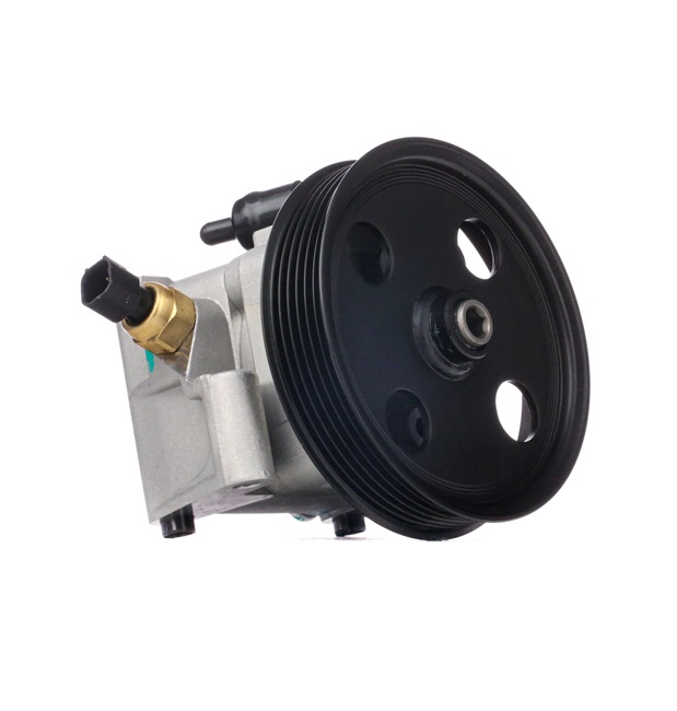 JP GROUP 1545104300 Servopumpe Ford Focus DYB Schrägheck
