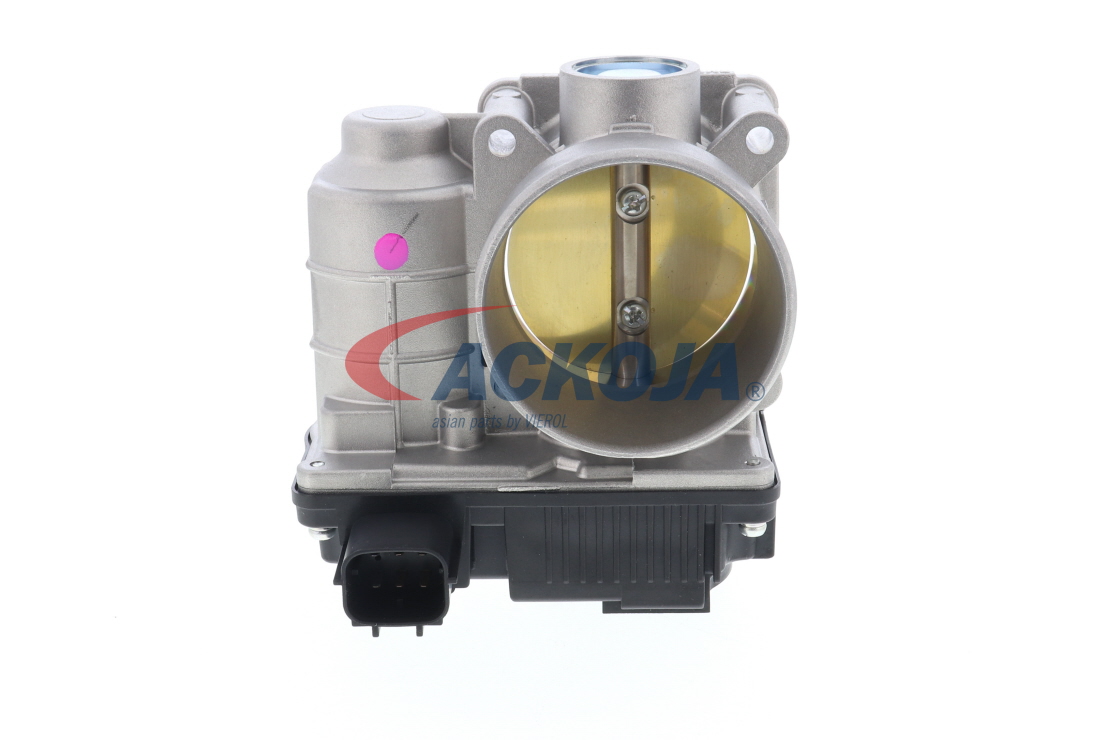 ACKOJA 161198H30C Gasklephuis A38-81-0003