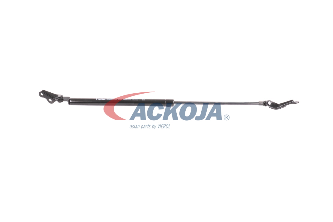 ACKOJA A70-0311 gasveer achterklep 6895005925
