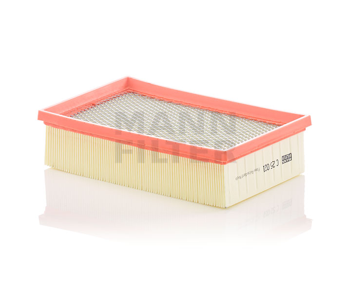 MANN-FILTER C 25 021 di prima qualità a prezzi equi