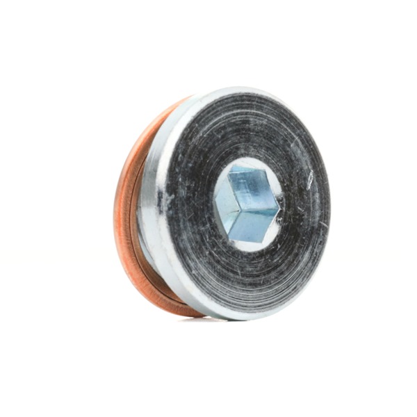 AUDI A6 ELRING sump plug 878.100