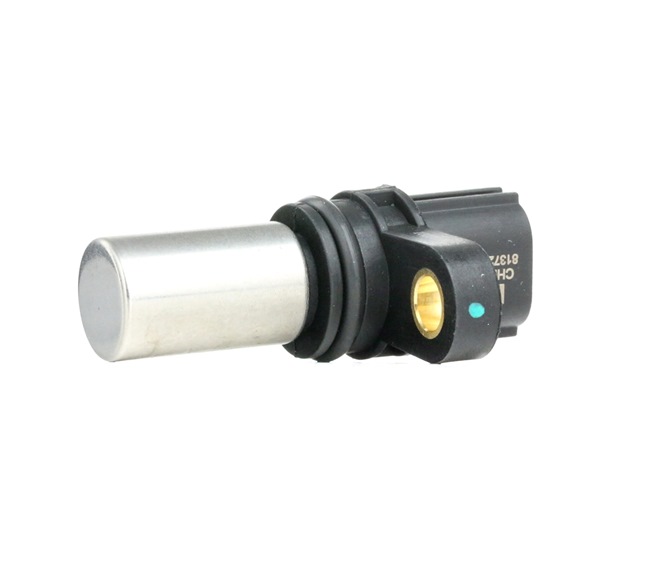 NGK 81372 nokkenassensor 237316N21A