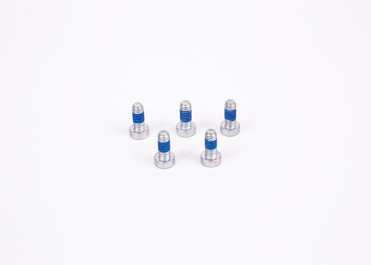 BOSCH 2 914 558 171 schroef 244856