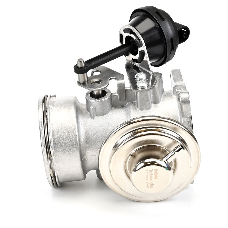 Válvula de recirculação dos gases de escape DELPHI SEAT IBIZA EG10420-12B1