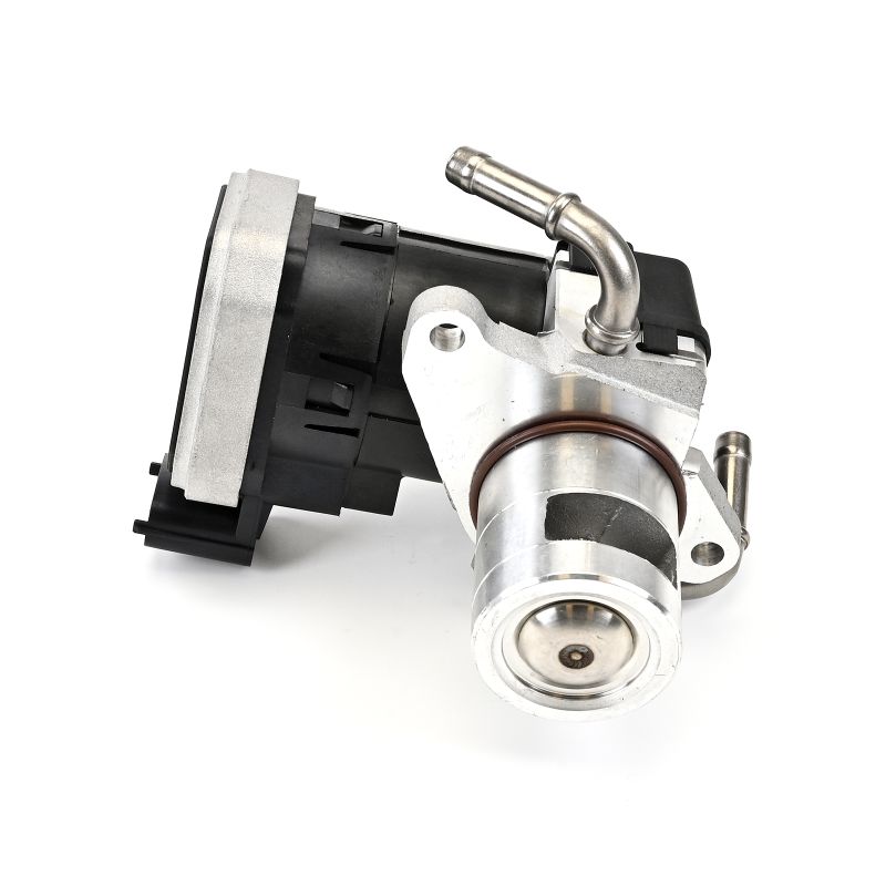 DELPHI EG10422-12B1 Válvula EGR Zafira A 2005 originales precio