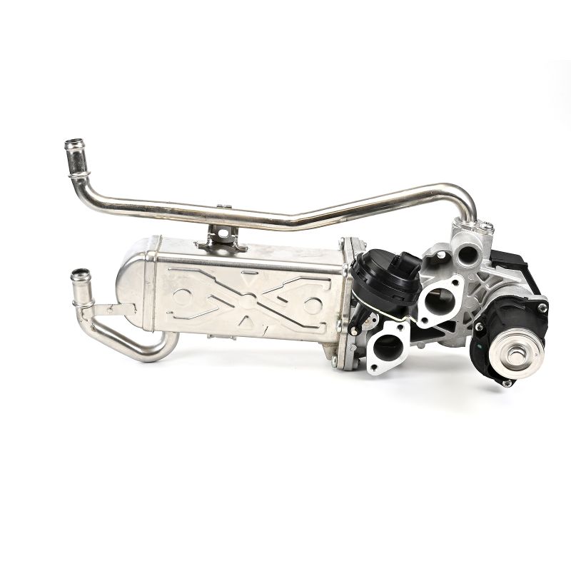 DELPHI EG10432-12B1 Válvula EGR SEAT Ibiza Sport Coupé (6J1) 2015 originales precio