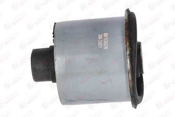 BIRTH 53028 Supporto assale RENAULT Zoe (BFM_) ZOE (BFMC, BFMD) 136 CV Elettrico 2024