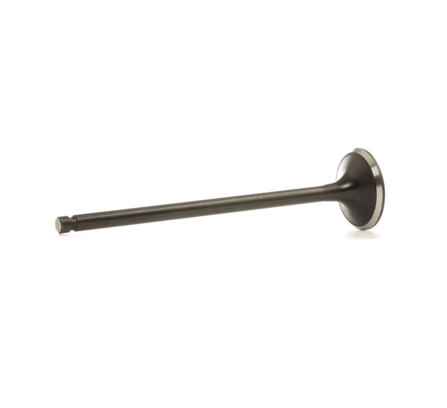 NE 13202ED00C Soupape d'échappement 5790000000